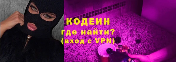 скорость Гусев