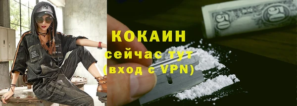 скорость Гусев