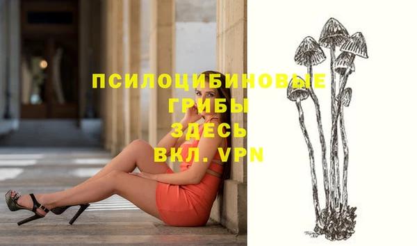 MDMA Premium VHQ Гусиноозёрск